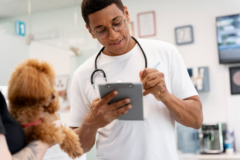 Como a contabilidade certa ajuda veterinários no RS a pagar menos impostos