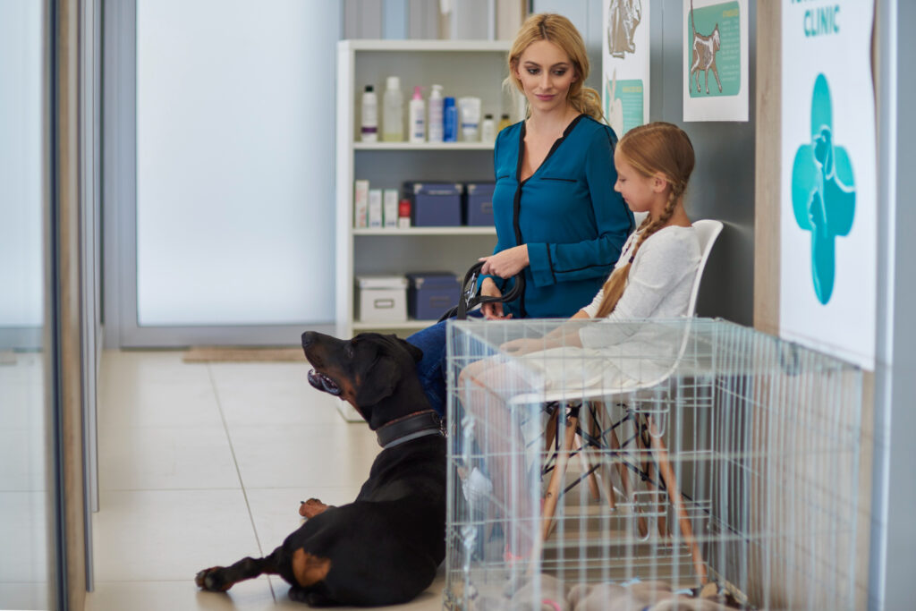 Como abrir um consultório veterinário no RS: guia para começar do zero