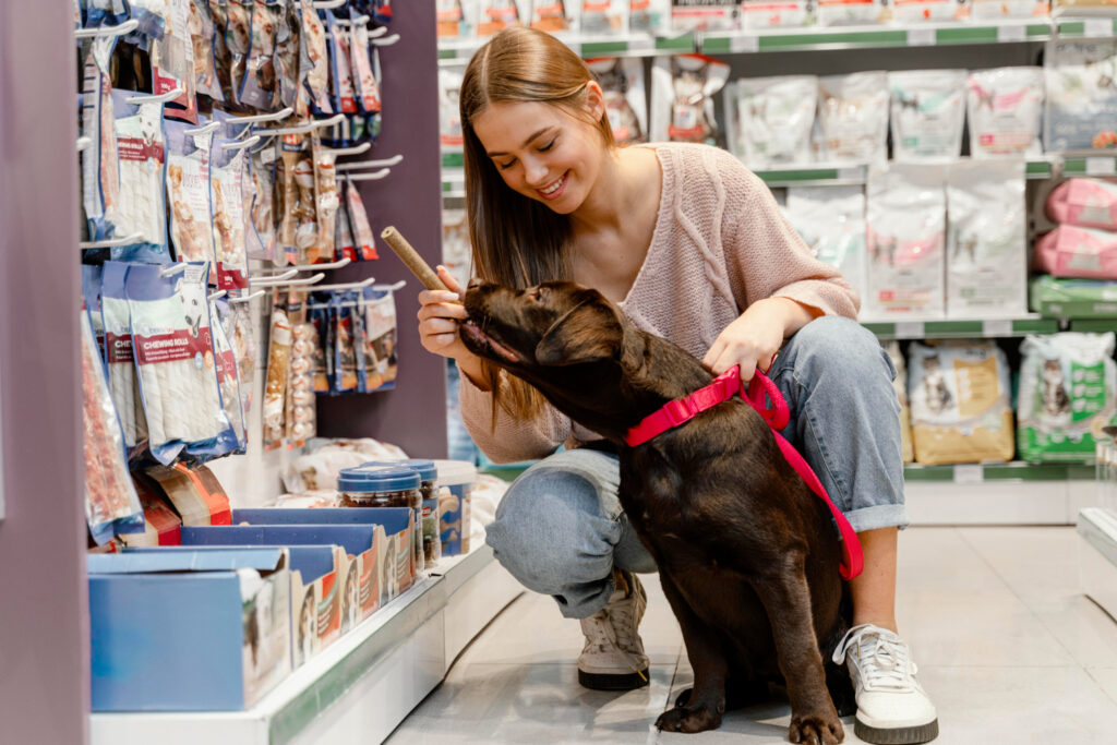 Contabilidade para pet shops no RS: como economizar e crescer com segurança